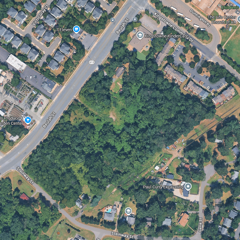 Aerial view showing approximately 11 acres of dense tree canopy at the Beulah/Steinway site.